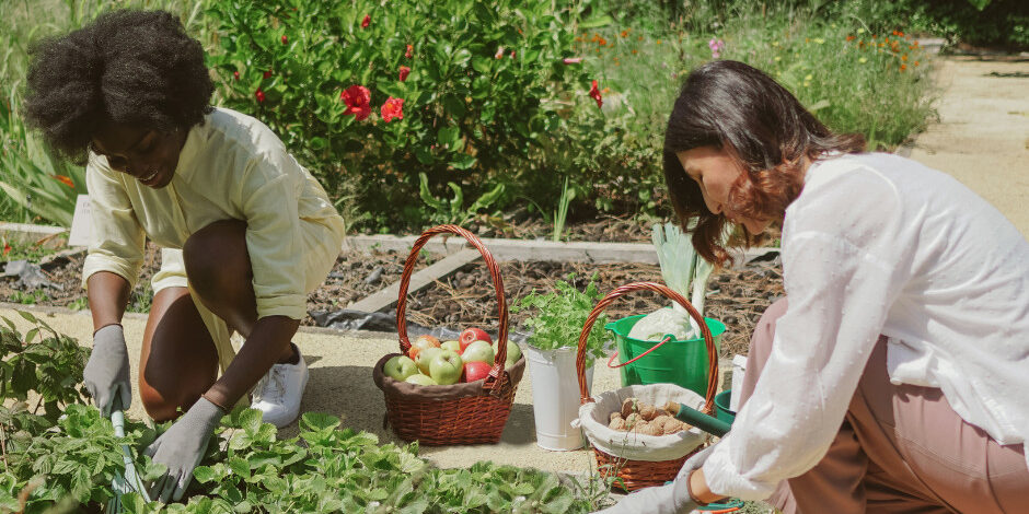2 women crouching down and gardening
